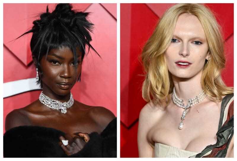 Black Twitter Reacts to Anok Yai Losing Model of The Year Award to White Transgender Model - A&W Greek Shop