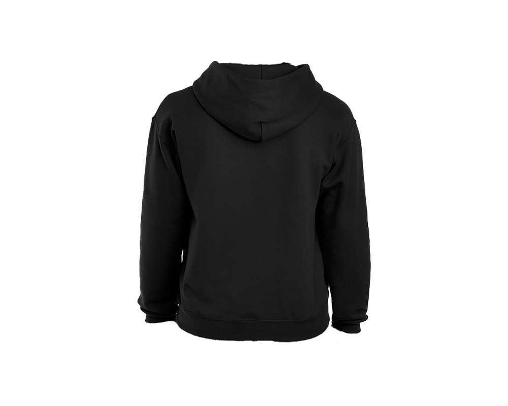 Back view of AKA embroidered satin symbols black hooded sweatshirt, perfect Greek gear for sorority or fraternity members.