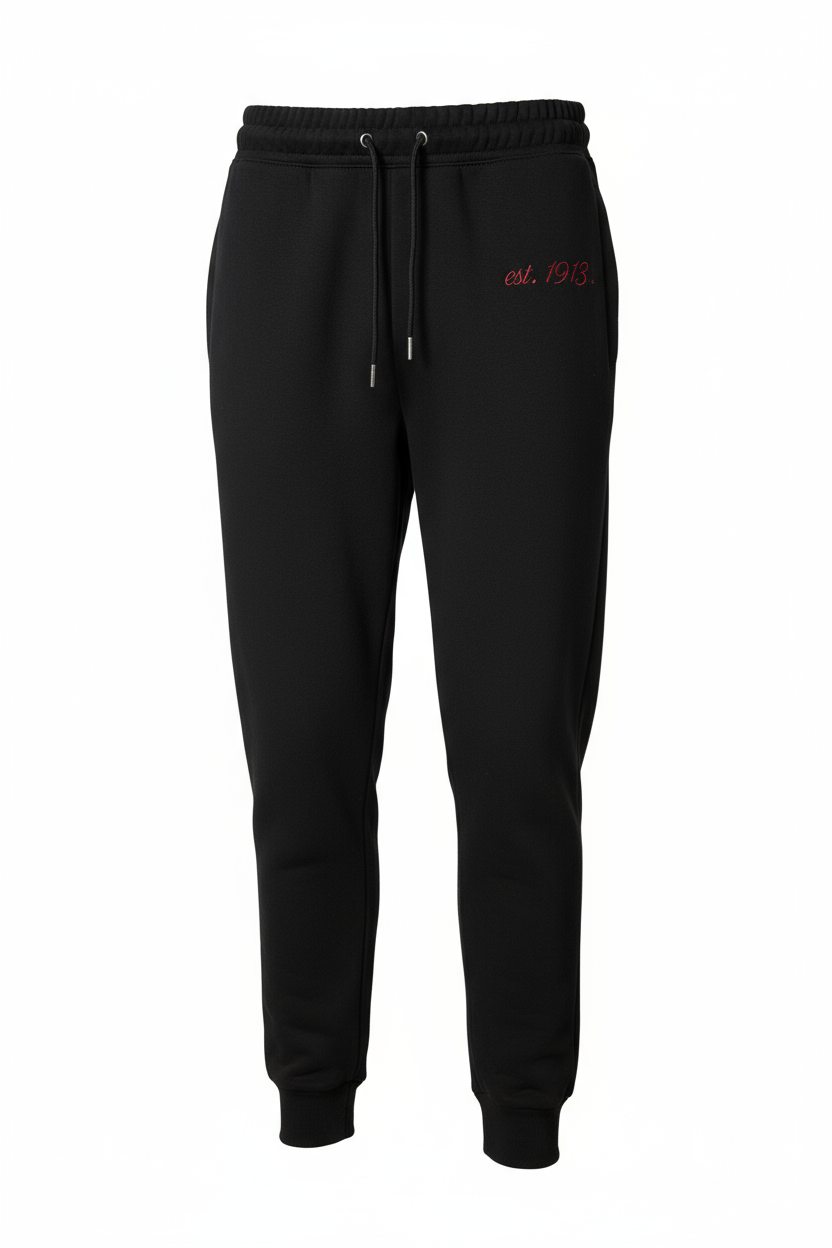 Delta Sigma Theta® Sisterhood Jogger + Hoodie Set – Black Edition