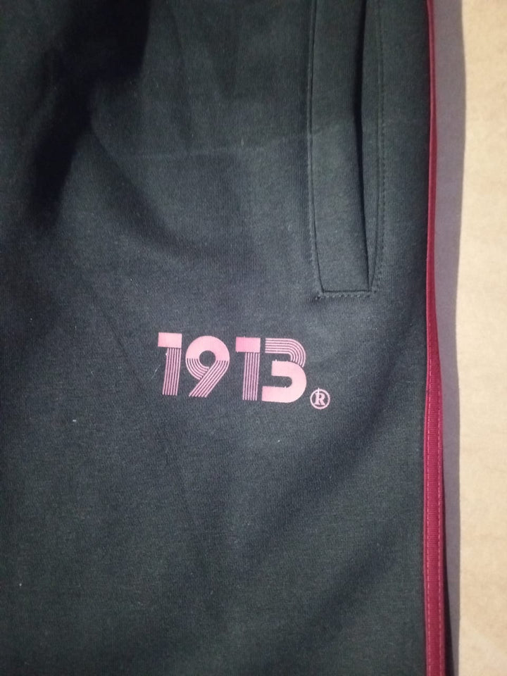 Delta Sigma Theta® Retro Striped Joggers – Fall 2025 Collection