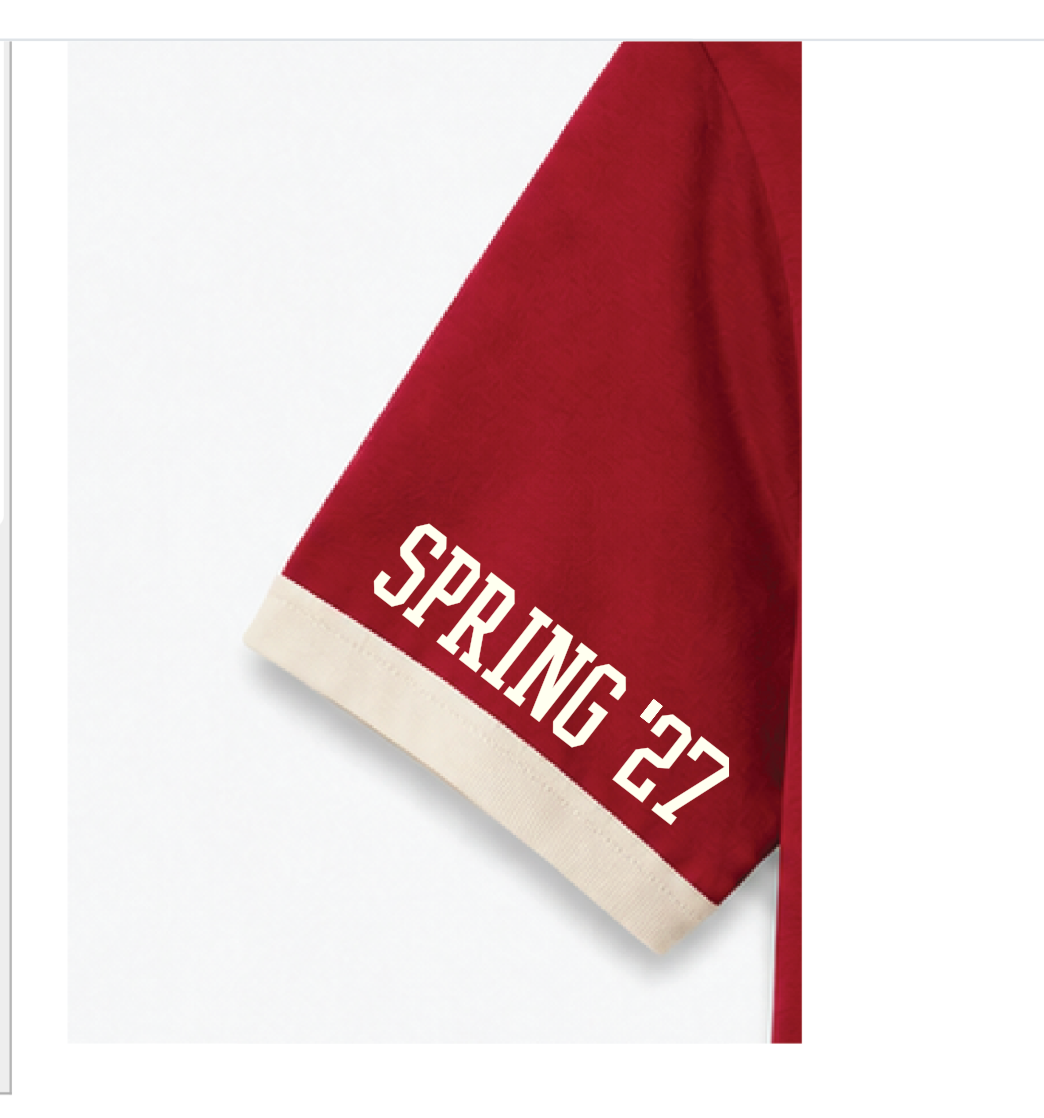 Delta Sigma Theta® Hero Ringer Tee – Custom Chapter