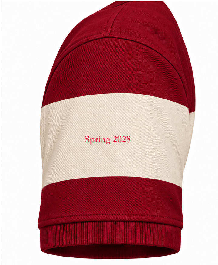 Delta Sigma Theta Custom Polo