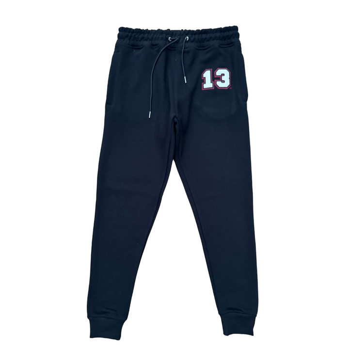 Delta Sigma Theta® Block Color Joggers