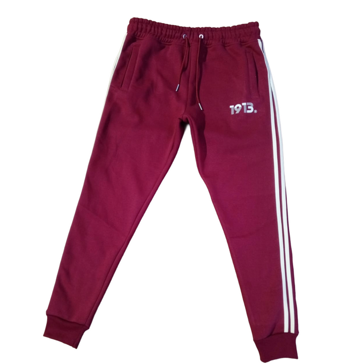 Delta Sigma Theta® Retro Striped Joggers – Fall 2025 Collection