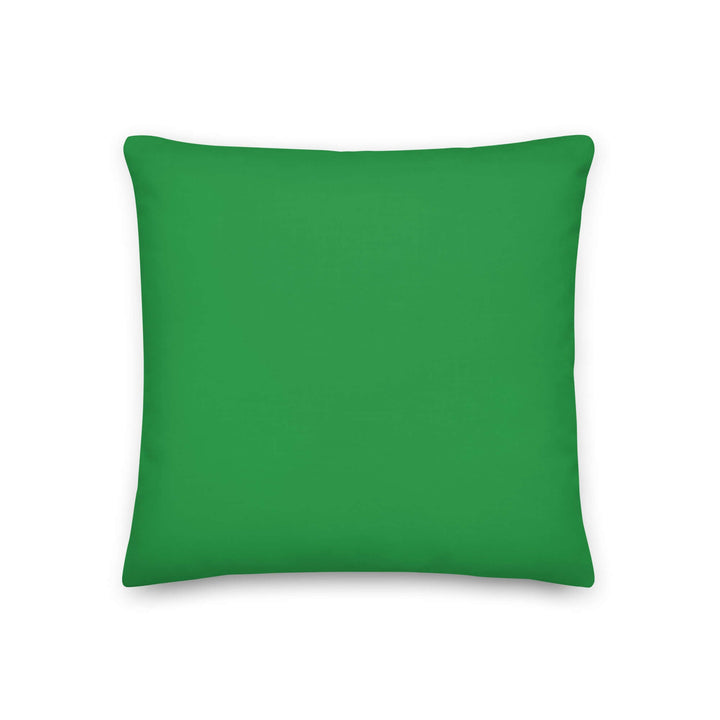 Green decorative pillow, perfect for sorority and fraternity paraphernalia, showcasing Greek gear heritage.
