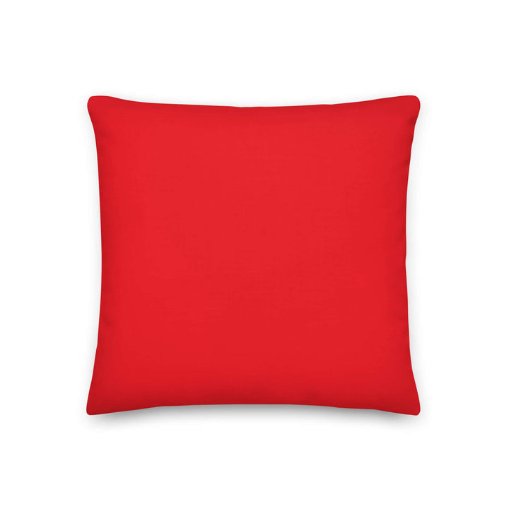 Delta Sigma Theta red pillow, perfect sorority paraphernalia to add color and warmth to your Greek gear collection.