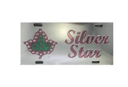 AKA Silver Star car tag with green and pink design, perfect sorority gear for fraternity members.