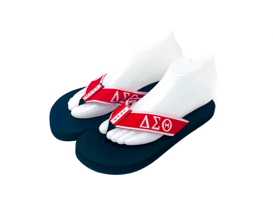 Delta Shoes - Thong Sandals & Carry Bag