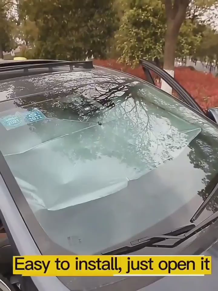 Delta Sigma Theta Umbrella-Style Windshield Car Shade